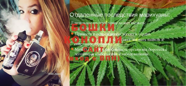 стаф Гусев