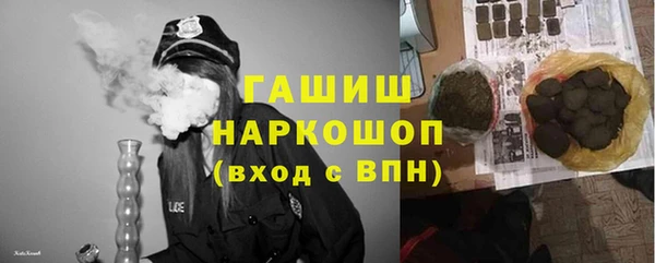 стаф Гусев