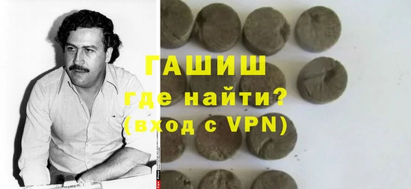 индика Яранск