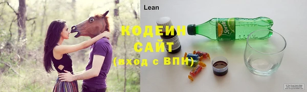 стаф Гусев