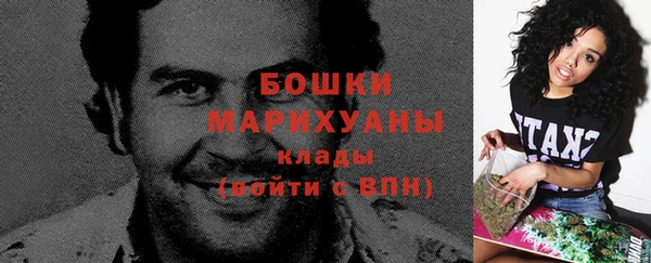 гидропоника Гусь-Хрустальный
