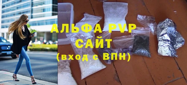 индика Яранск