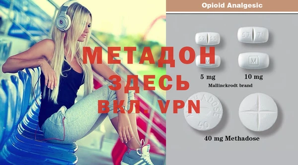 прущие грибы Яровое