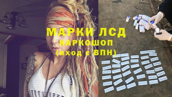стаф Гусев