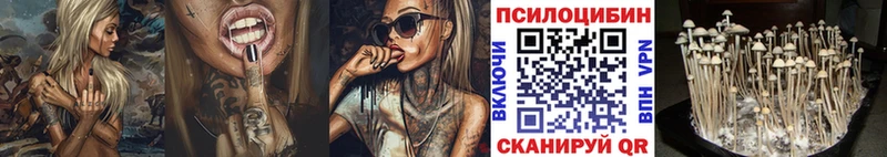 Галлюциногенные грибы GOLDEN TEACHER  наркотики  это как зайти  Заволжск 